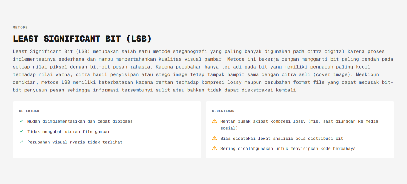 Rancang Bangun Sistem Deteksi Penyisipan Data Tersembunyi pada Gambar dengan Force Decode yang Terintegrasi dengan AI screenshot 3