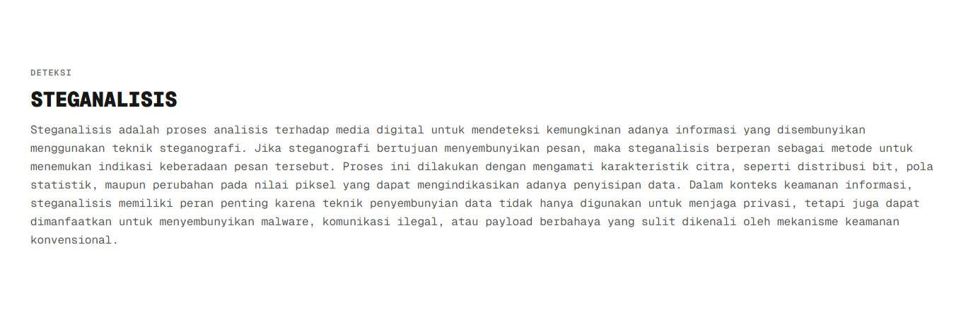 Rancang Bangun Sistem Deteksi Penyisipan Data Tersembunyi pada Gambar dengan Force Decode yang Terintegrasi dengan AI screenshot 4
